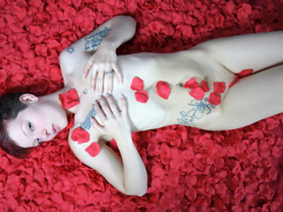 Bed of Roses