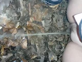 In den Wald gepinkelt