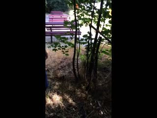 Spermawalk auf dem Rastplatz