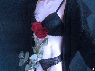Dessou Pics