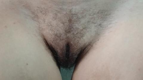 Haarige Pussy