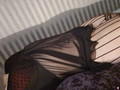 Clip