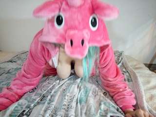 Das letzte Einhorn