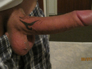 schwanz bilder