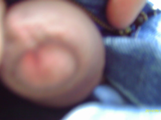 bilder 2