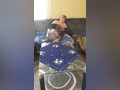 Clip