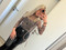 Elin98