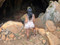 Callme_xy