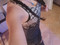 LittlemisssunshineX3
