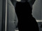 Dirrtyhousewife