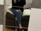 Sarahbella-xx