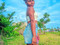 FelicieLola