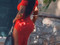 AnastasiaAllure