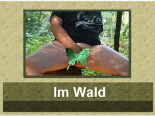Image of Im Wald...