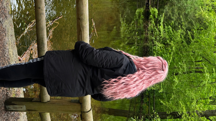 Wilmap**pen im Wald.  Was werden wir wohl entdecken?
