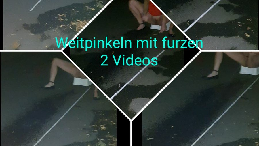 NS Weitpinkeln 2 Videos