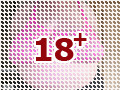 Netz BH