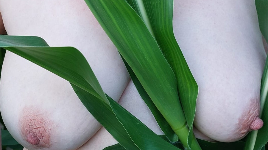 Amateurpornogirls wie SuesseAngelika treffen