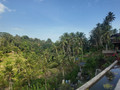 Ein kleiner Ausblick in Bali