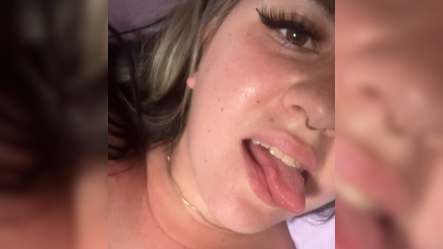 neue bilder