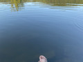 Sommer, Sonne, Main