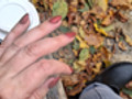 Der Herbst ist end...