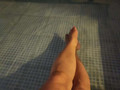 Hallo...
