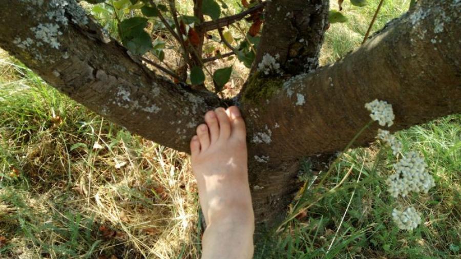 My feet outside in the garden and in nature