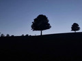am abend