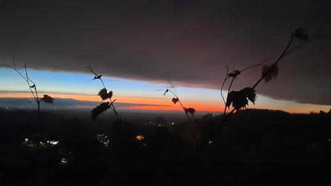 Zeit der Ruhe, des Nachdenken, besinnlich werden, ausklingen lassen, entspannen. 

Ein schönes Ritual ist es, sich Zeit für den Sonnenuntergang zu nehmen, ganz ruhig zu werden und in absichtsloser,  warmer und geborener Harmonie ein Gefühl der Fülle, Gelassenheit und vitaler Gesundheit zu empfinden.

Ein paar Atemübungen und Yoga können dabei sehr hilfreich sein.....
?❤️?