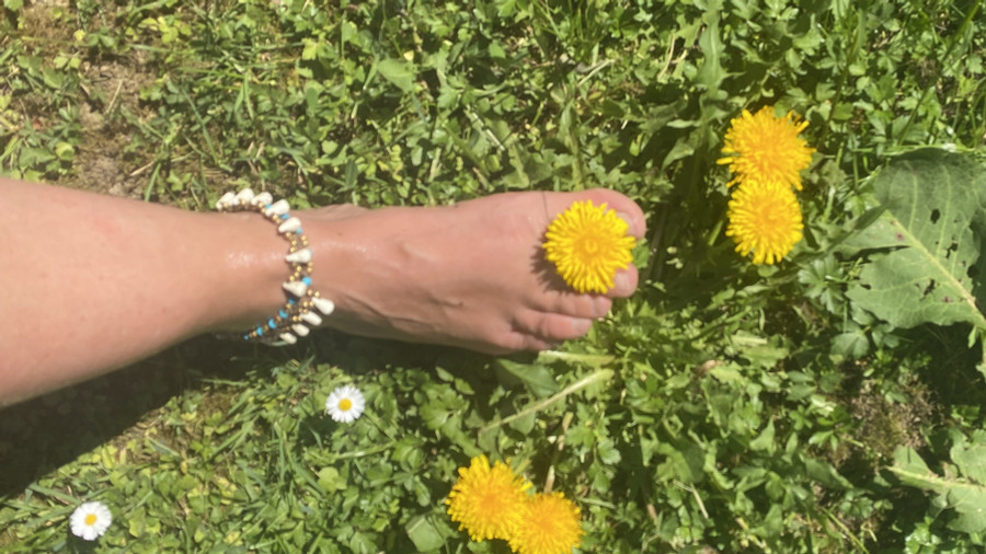 Tender feet, endless legs A feast for foot lovers