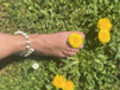 Tender feet, endless legs A feast for foot lovers