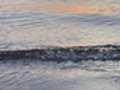Füsse am Strand