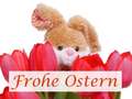 Frohe Ostern wünsche ich