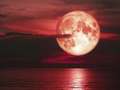 Erdbeermond