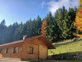 Holz vor der Hütte