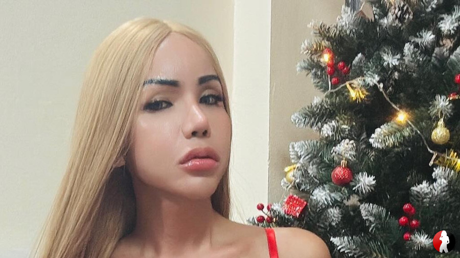 Lass mich dein Weihnachtsgeschenk sein !