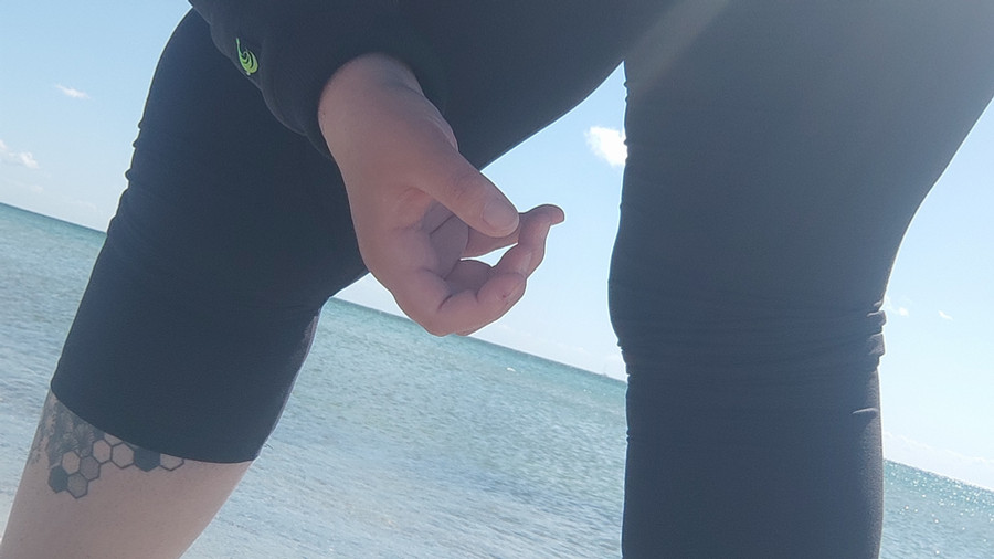 Ganz anständig