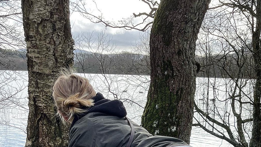 Schau rein