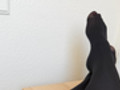 Büro, Beine auf de...