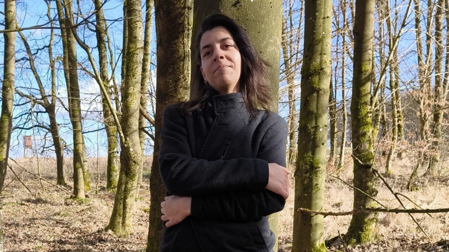 Bilder aus dem Wald