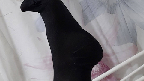 Nylon-Geheimnisse - für Dich!