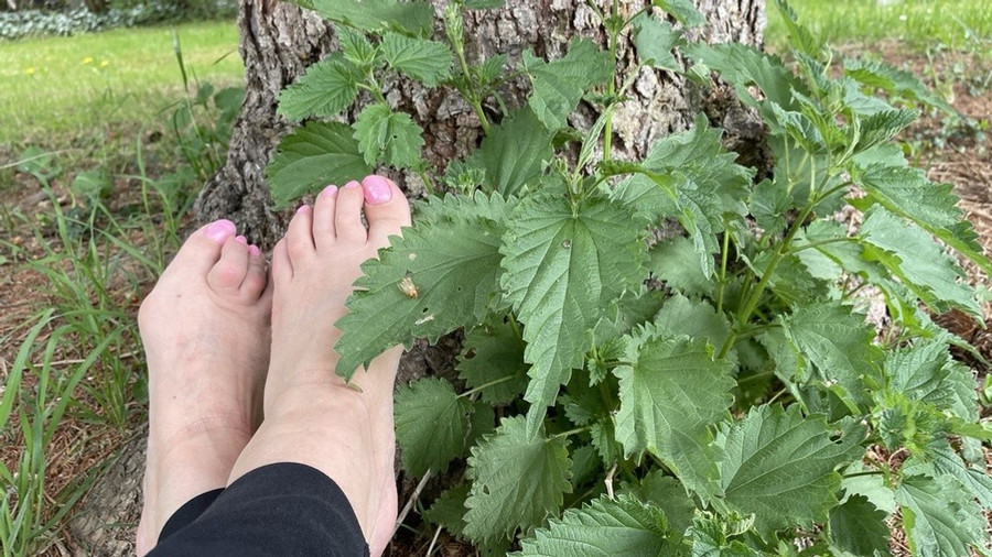 My feet for you in nature