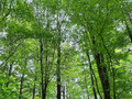 Zeit für den Wald 😊