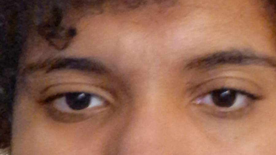 Der ganz normale Wahnsinn