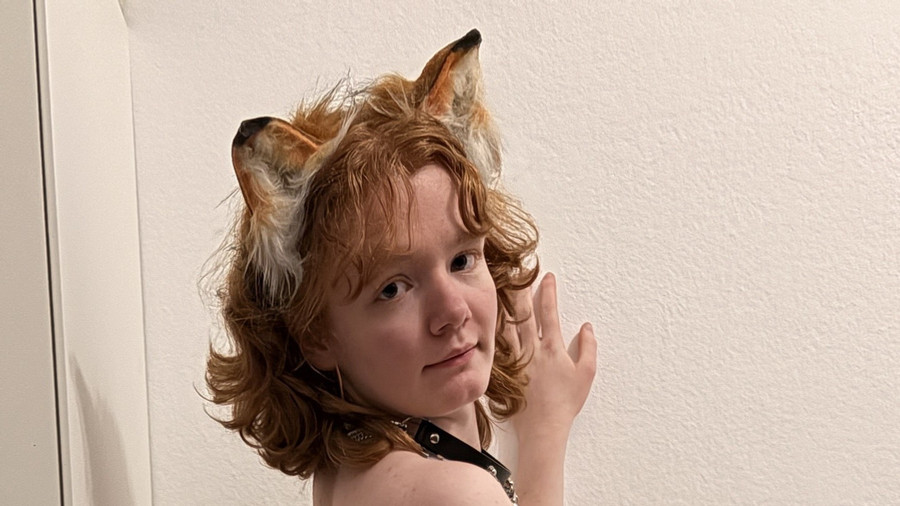 Der Fuchs geht um