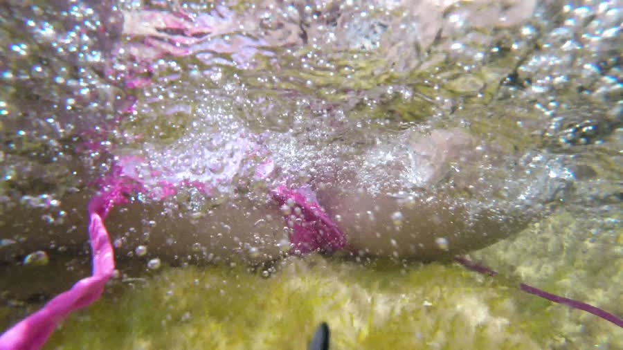 Mallorca unter Wasser Spass