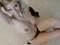 Hot_Blonde