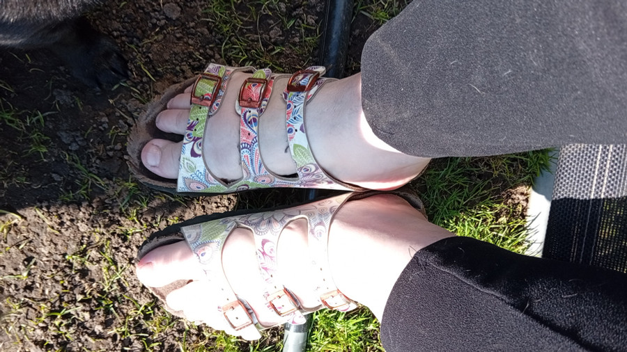 Abgetragene Birkenstock-Schuhe