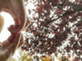 Wundervoller Herbst